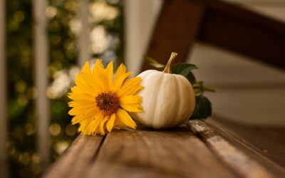 Herbstfest 2022